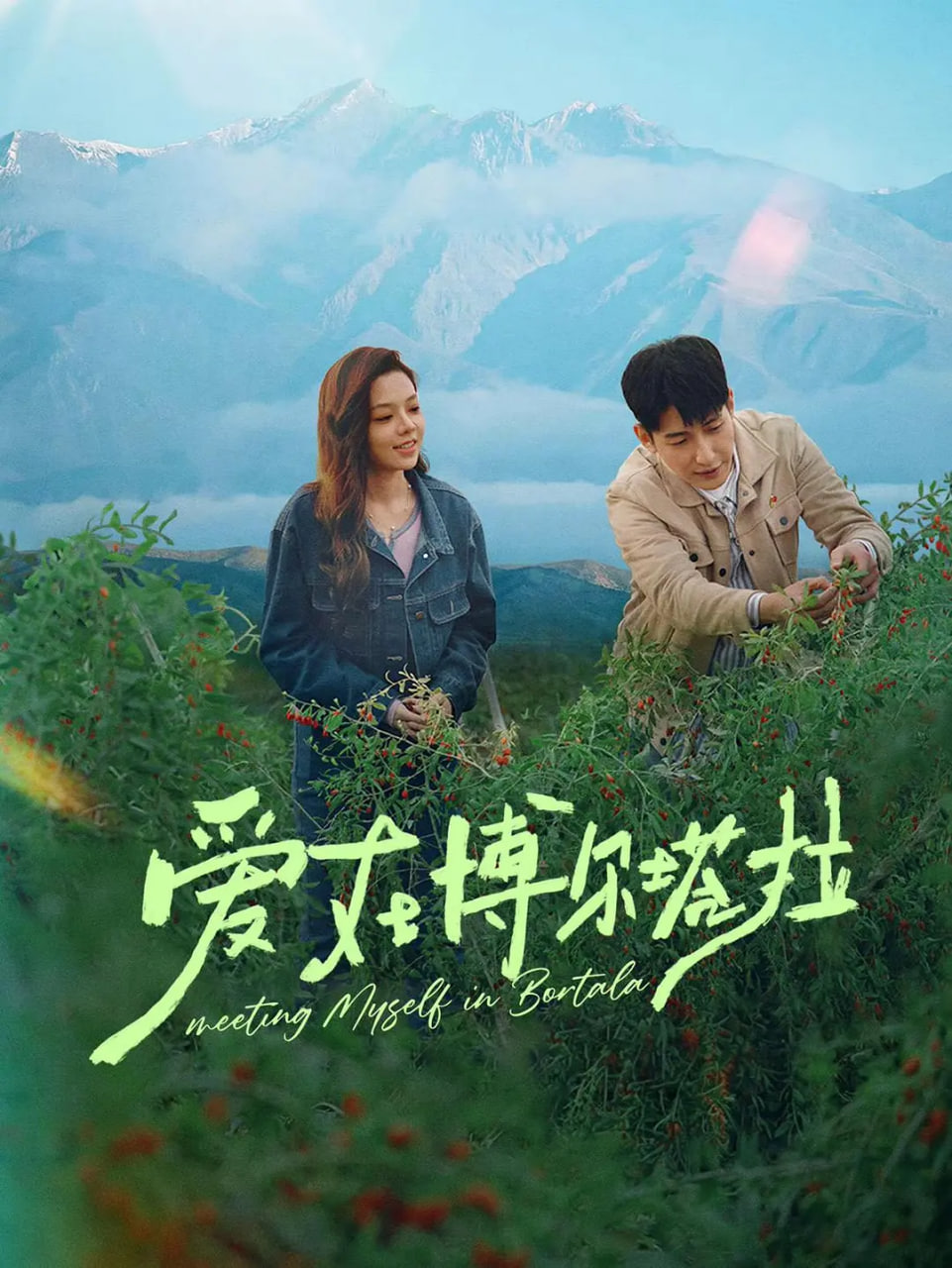 爱在博尔塔拉(全集)