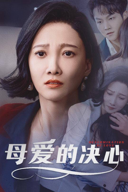 母爱的决心 尘世暖阳第01-20集