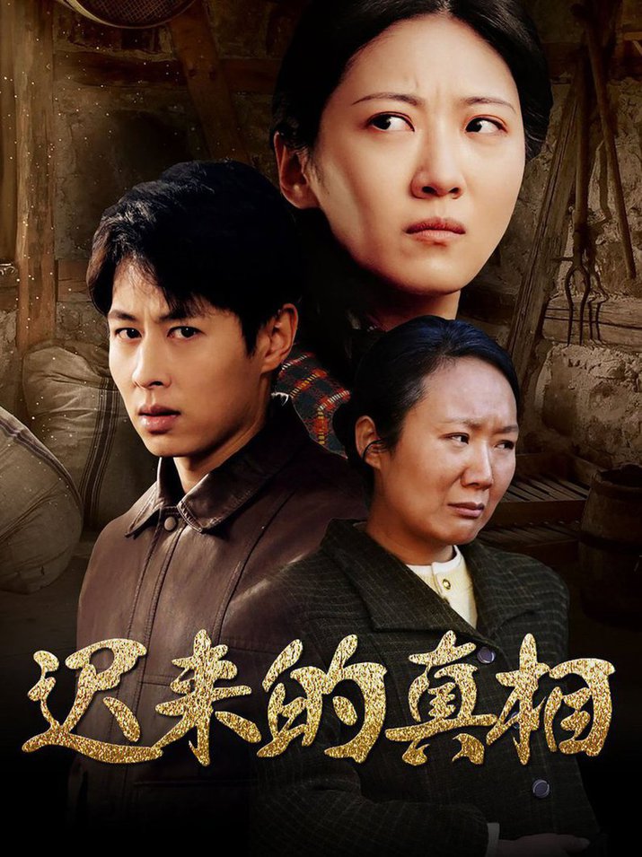 迟来的真相 因果第01-30集