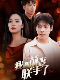 我和前妻联手了第01集