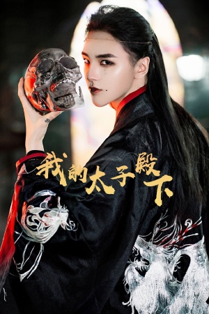 我的太子殿下第01集