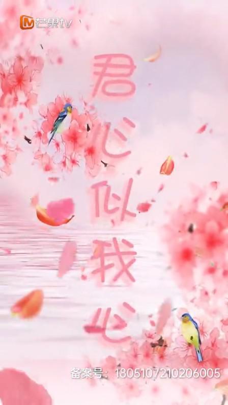 君心似我心第03集