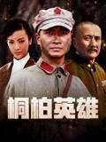 桐柏英雄第11集
