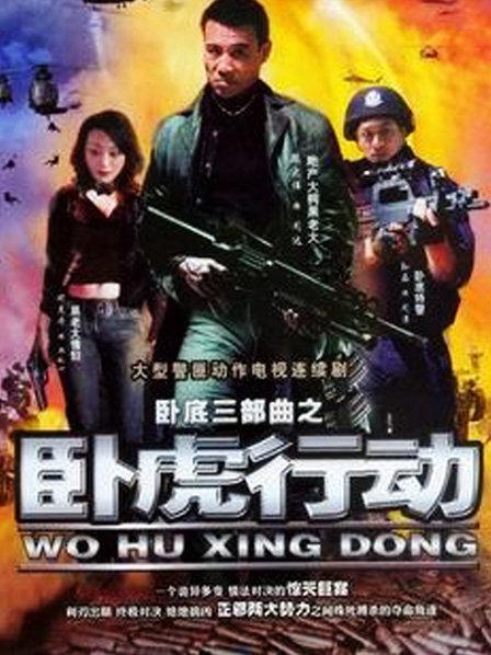 卧虎行动第12集