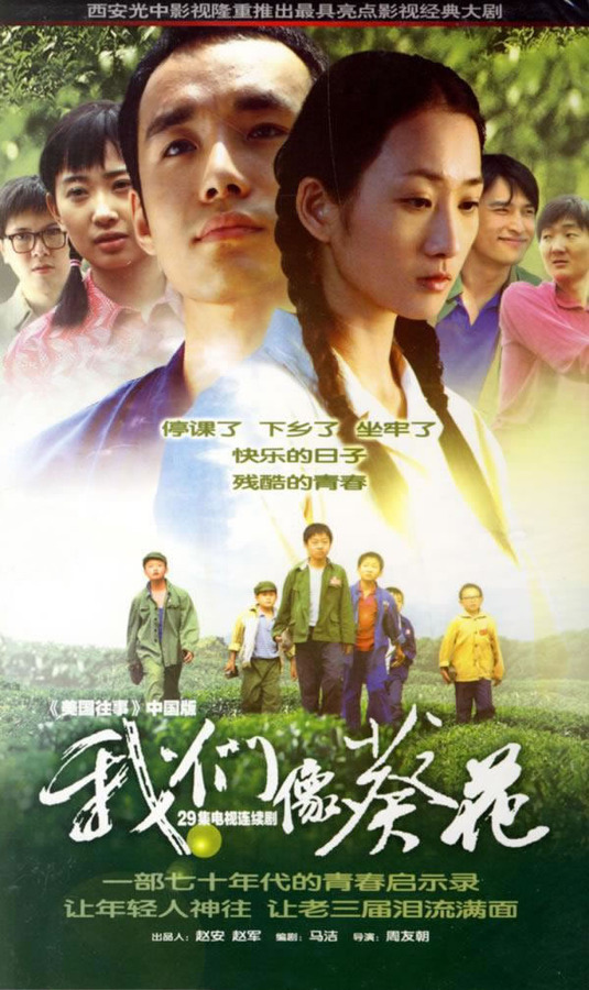 我们像葵花第01集