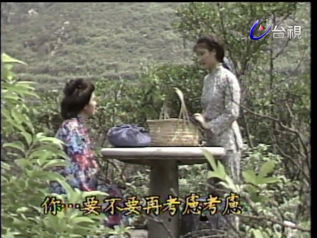 向太阳挑战(全集)