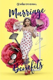 假扮夫妻第01集