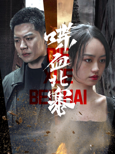 喋血北寨第31-60集