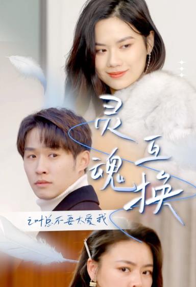 灵魂互换后之叶总不要太爱我第30集