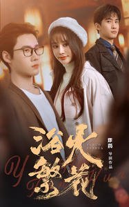 欲火繁花第01集