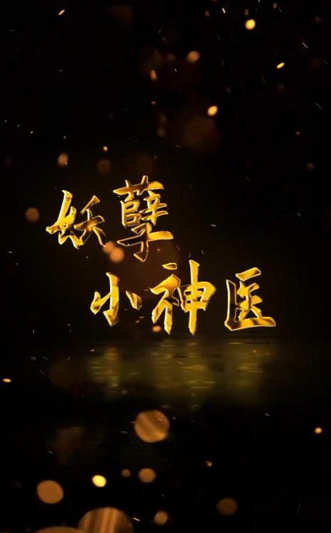 回村小伙是侠医第11集