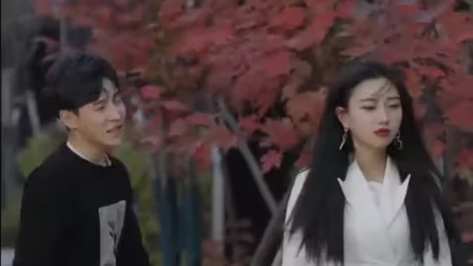 绝品医婿全集完结(大结局)