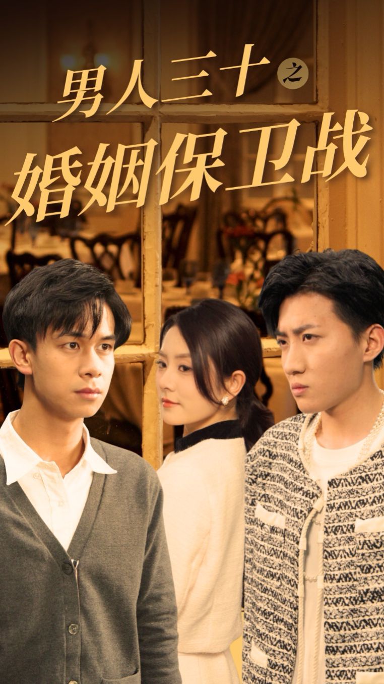 男人三十之婚姻保卫战第01-31集(大结局)