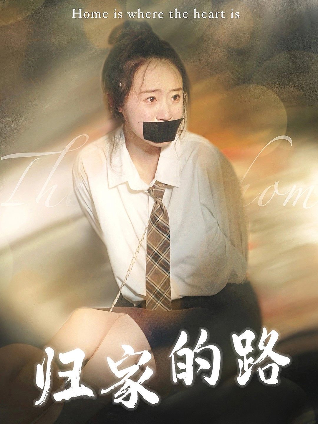 归家的路第01-30集