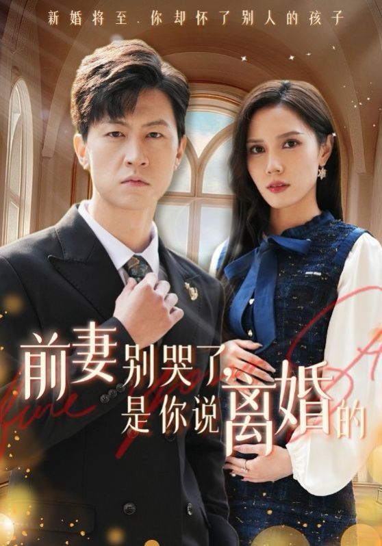 前妻别哭了是你说离婚的第21-42集(大结局)