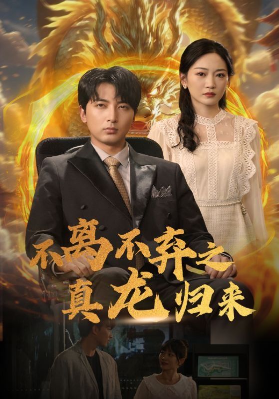 不离不弃之真龙归来第1-20集