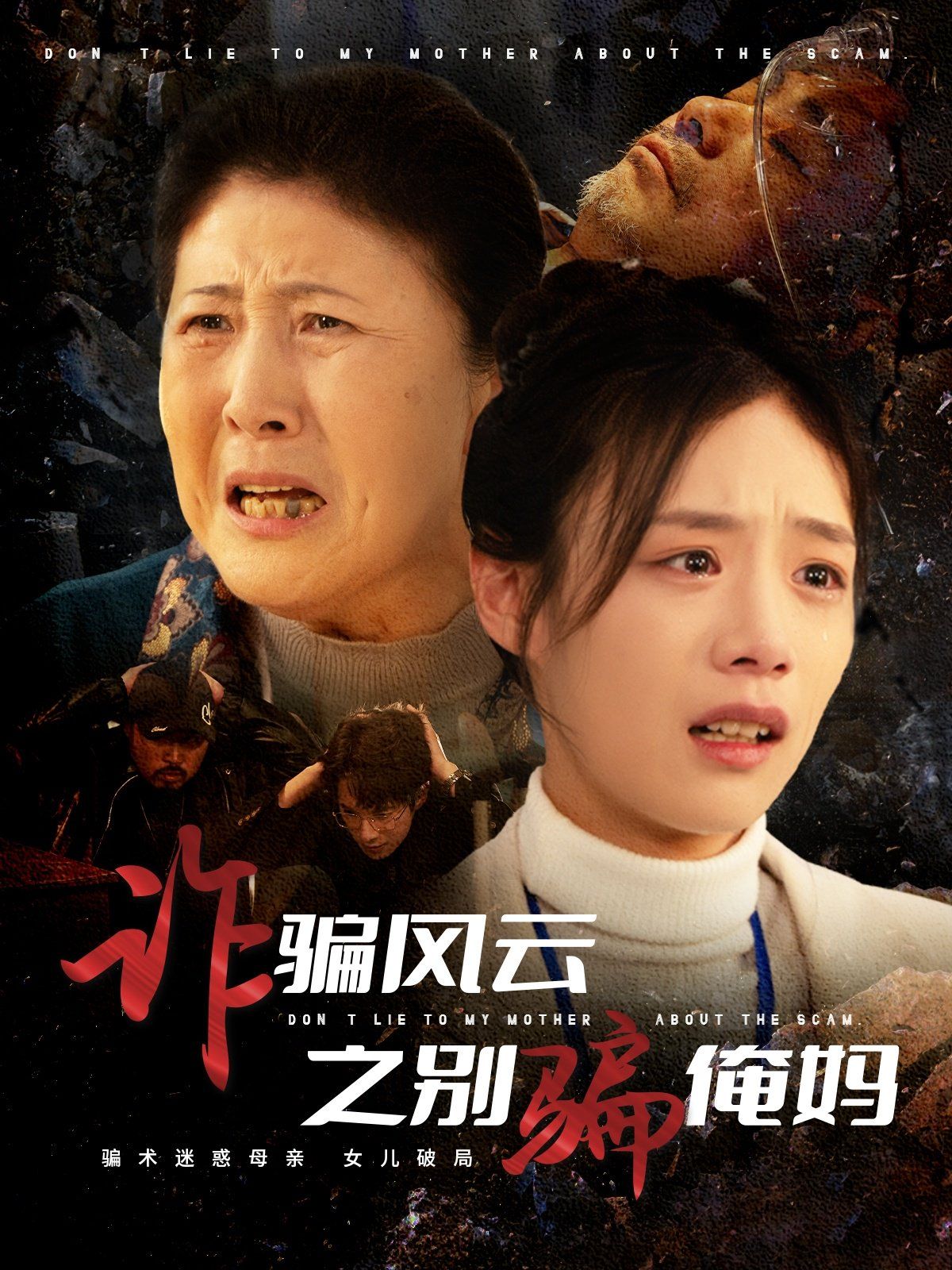 诈骗风云之别骗俺妈第21-40集