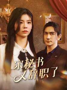 宋秘书又辞职了第1-20集