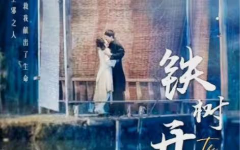 铁树开花第41-80集完结(大结局)