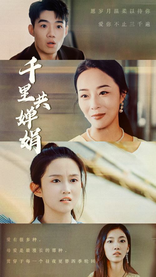 千里共婵娟第01集