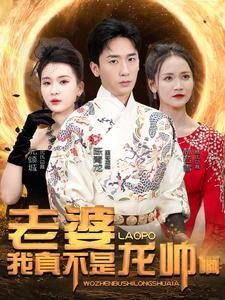 老婆我真不是龙帅啊第61-80集