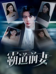 霸道前妻第01-34集(大结局)