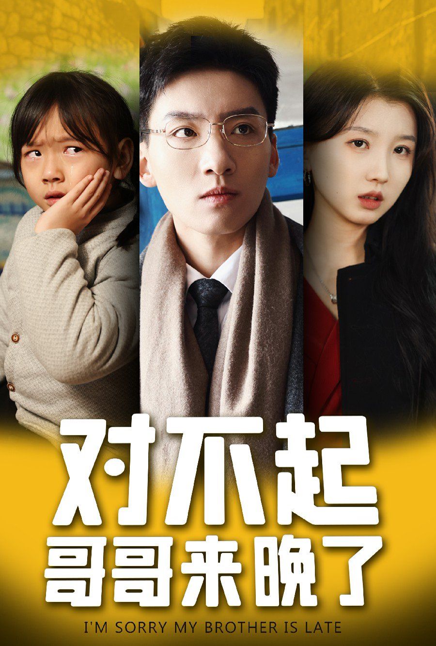 对不起哥哥来晚了第1-20集
