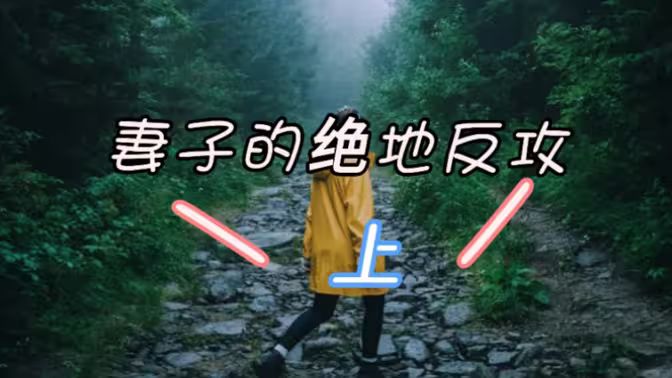 妻子的绝地反攻全集完结(大结局)