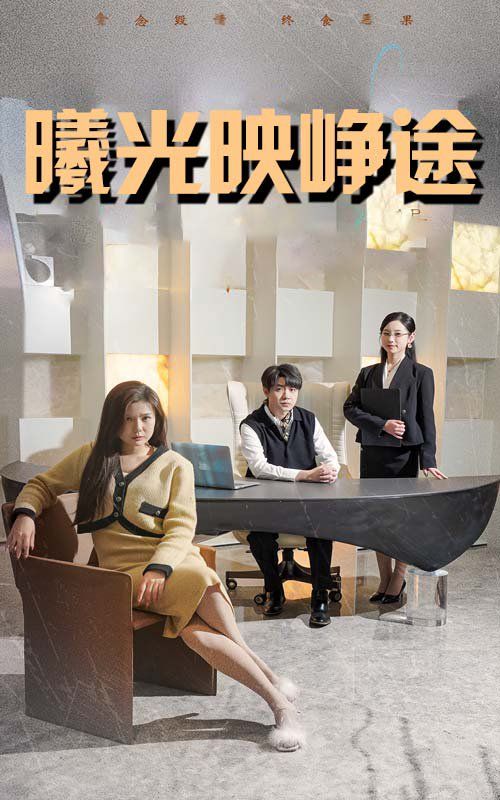 曦光映峥途（错把瓦砾当明珠）第21-40集