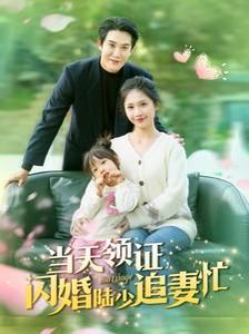 当天领证闪婚陆少追妻忙第01-30集