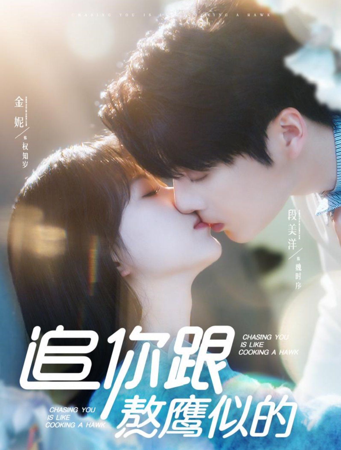 追你跟熬鹰似的第21-40集