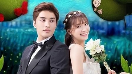 灰姑娘的恋爱契约全集完结(大结局)