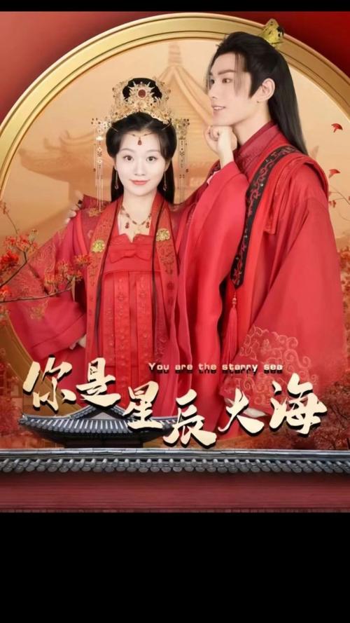 你是星辰大海第1-20集