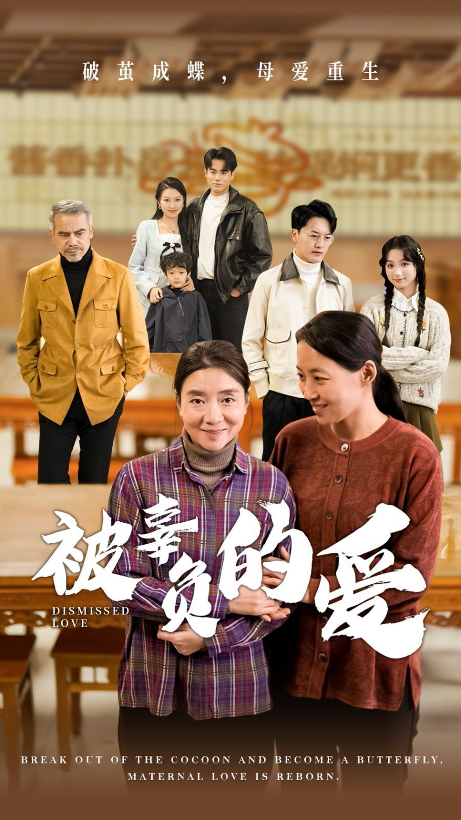 被辜负的爱第01-30集