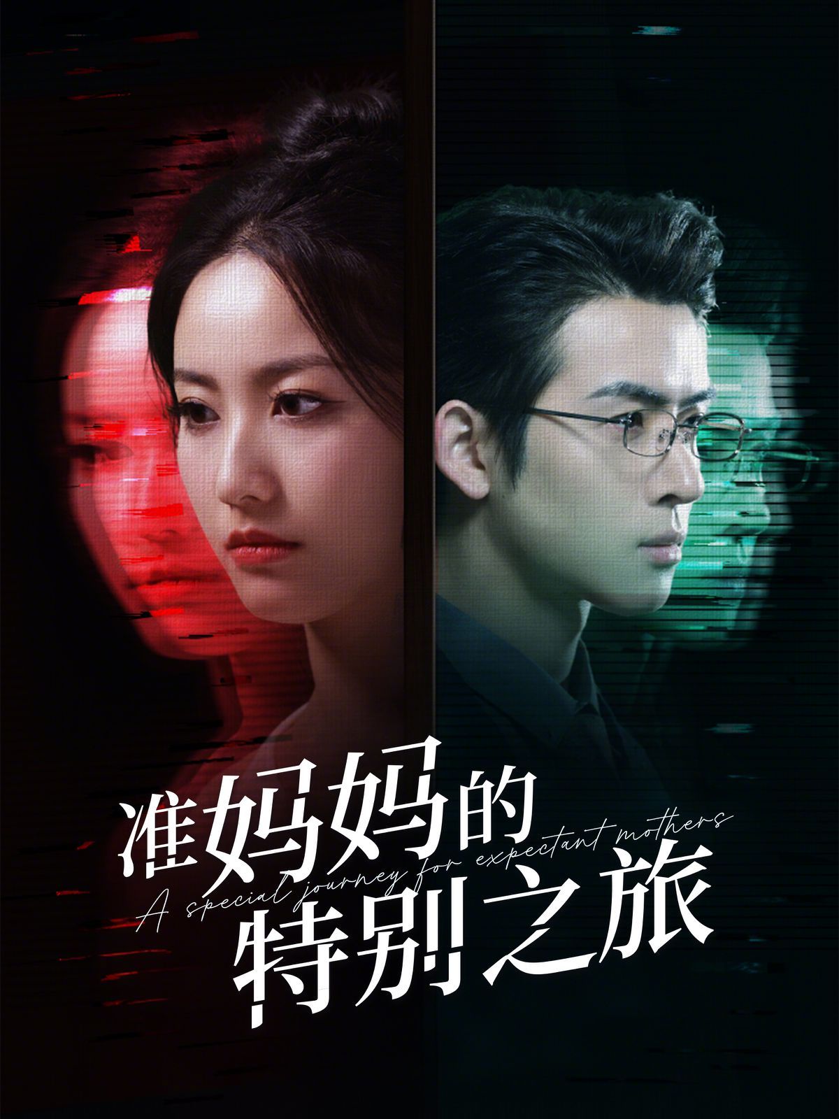 准妈妈的特别之旅第21-40集