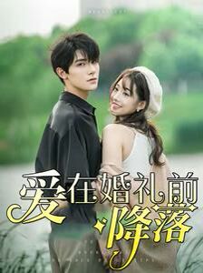 爱在婚礼前降落第1-20集