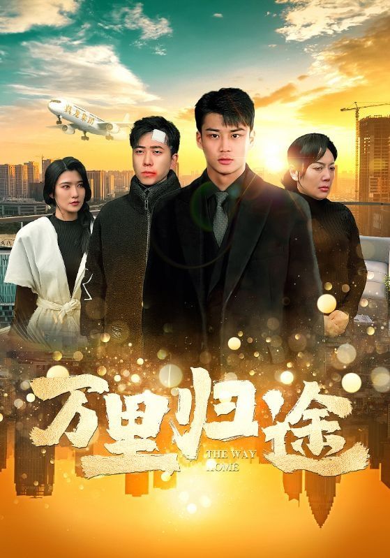 万里归途第1-20集