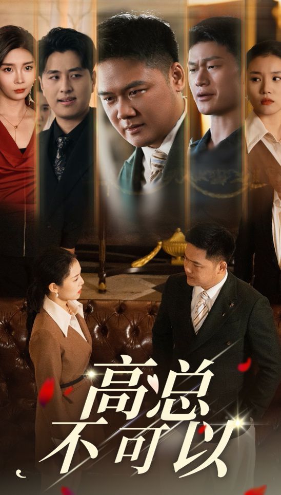 高总不可以第01-20集