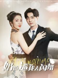 奶奶逼我去闪婚第21-40集