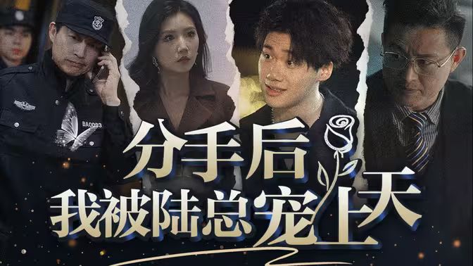 分手后，我被陆总宠上天第1-40集