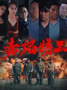 赤焰特工第01-30集