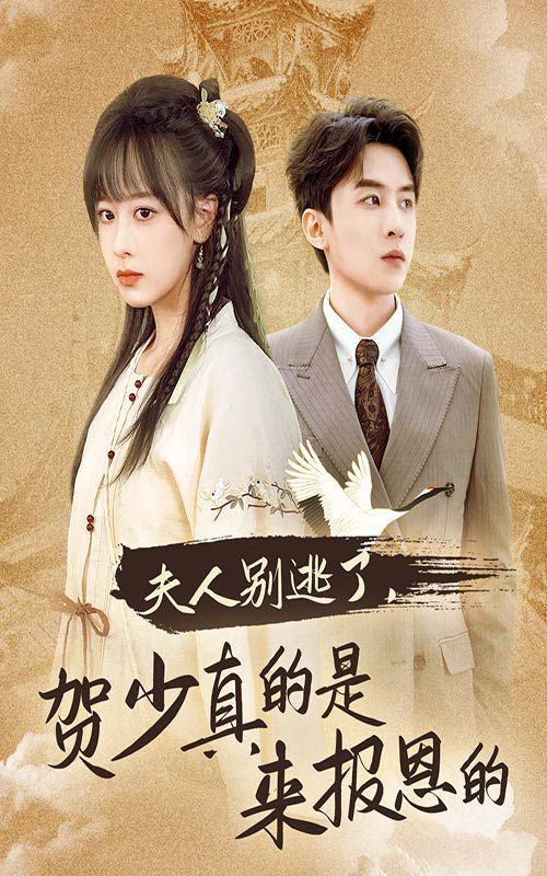 夫人别逃了贺少真的是来报恩的第21-40集