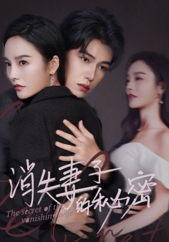 消失妻子的秘密第21-40集