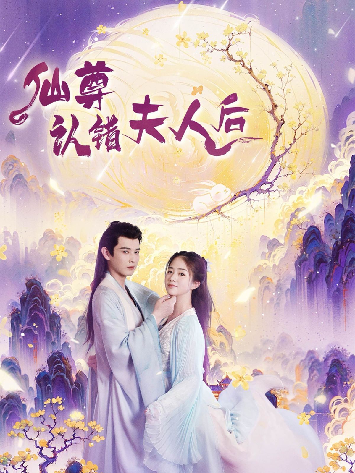 仙尊认错夫人后第1-20集