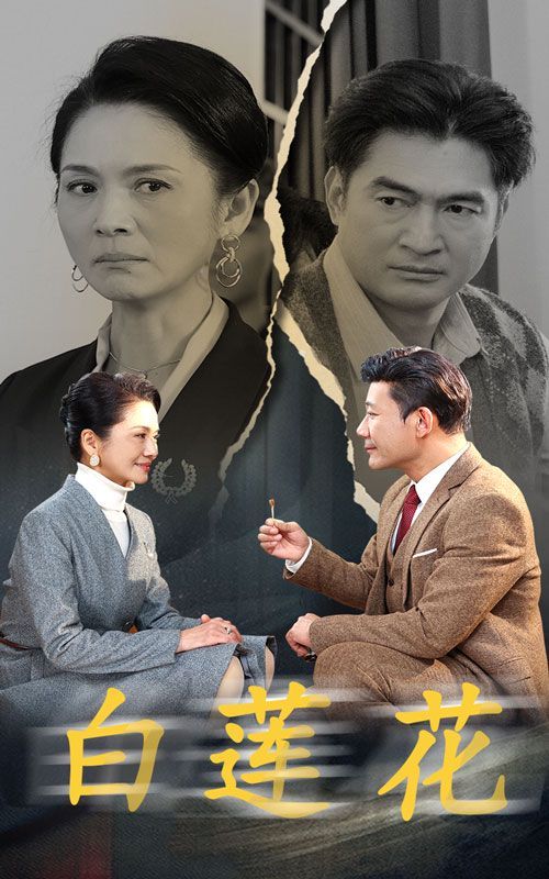 白莲花第01-20集