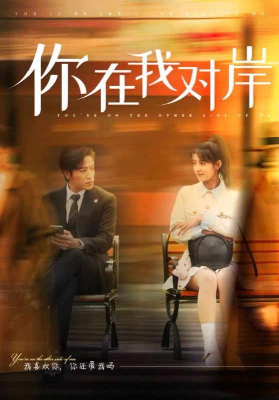 你在我对岸第01-31集(大结局)