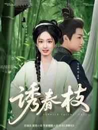 诱春枝第1-20集