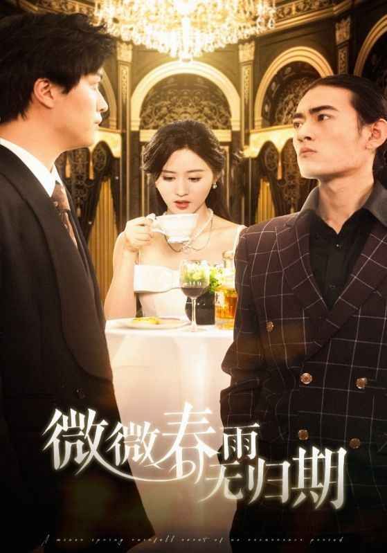 微微春雨无归期第1-20集