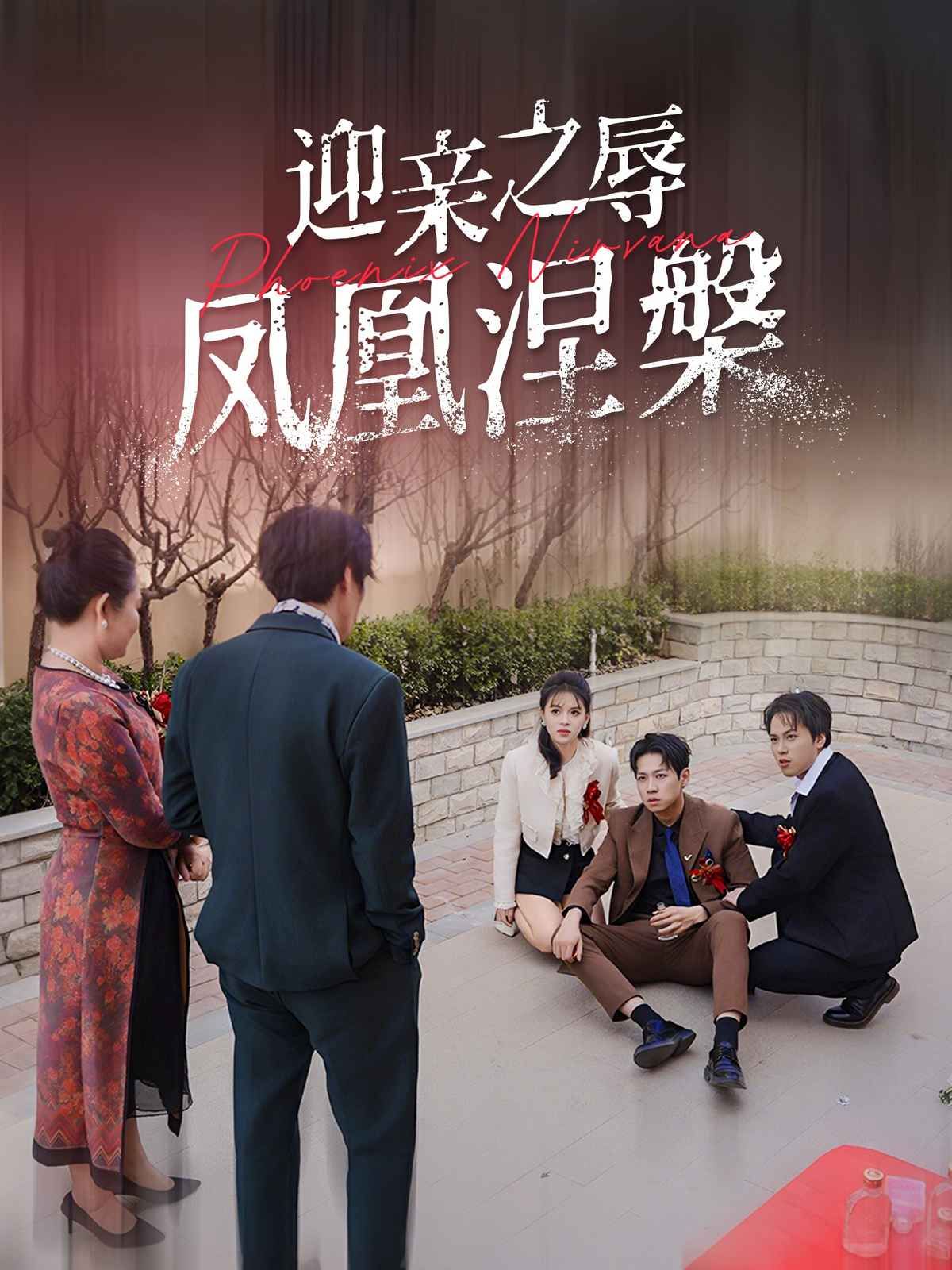 迎亲之辱凤凰涅槃第1-20集