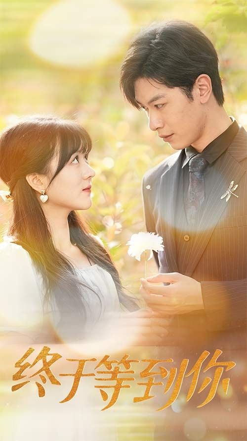 终于等到你（你是我的木槿年华）第1-20集